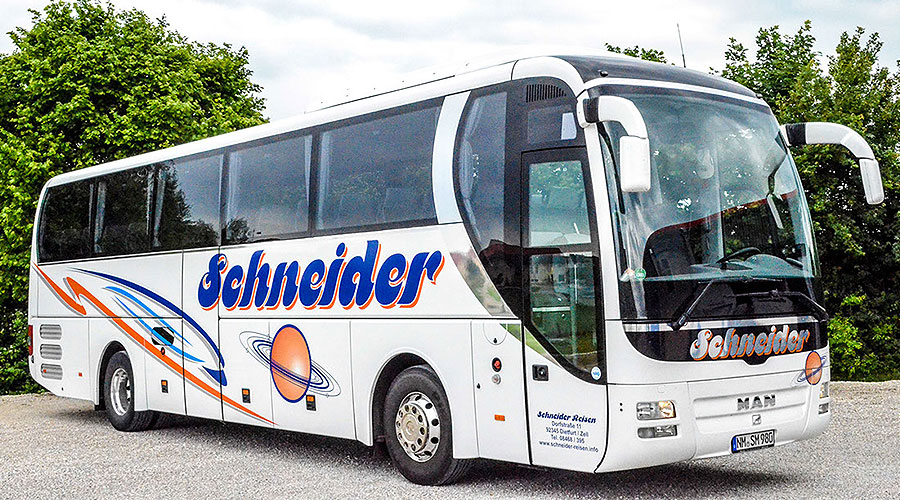 Lion's Coach
